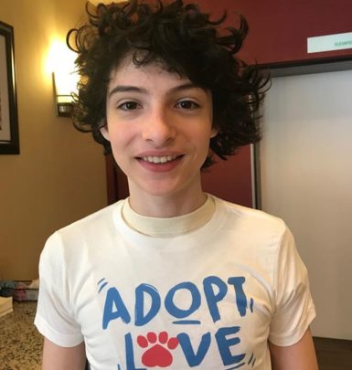 Finn Wolfhard biography