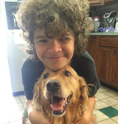 Gaten Matarazzo biography