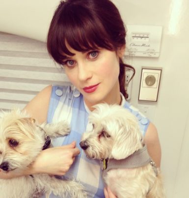 Zooey Deschanel biography