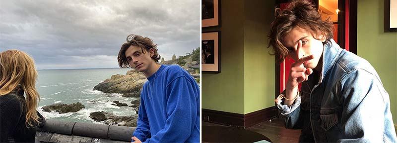 Timothée Chalamet bio